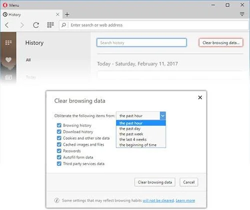 Clear Secret-Internet Browser History 15 Clear Secret-Internet Browser History