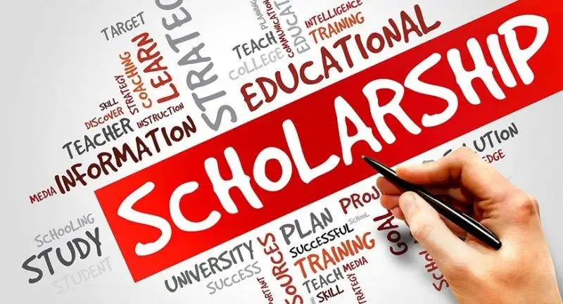 Get Up to Rs 5000 Scholarship in Computer Course 2 Get Upto Rs5000 Scholarship in Computer Course