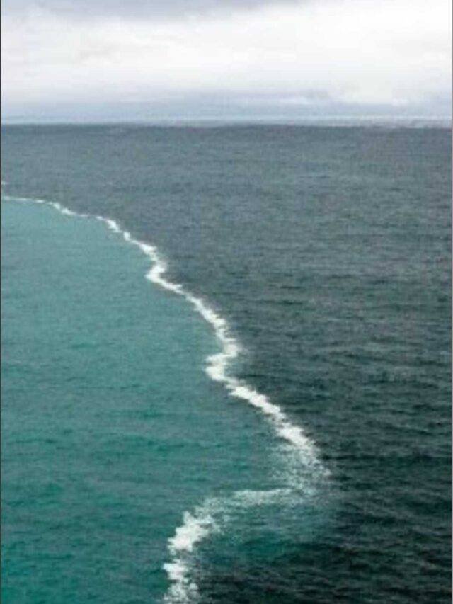 Ganga Sagar Kahan Hai, Mandir, Mela, and Express 4