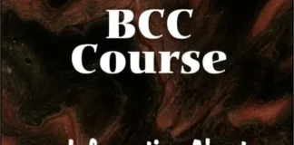 Information About BCC Course, Top 1 Syllabus, Detail, Duration, Eligibility, Fees, Scope, Institute VedantSri Web Stories 1